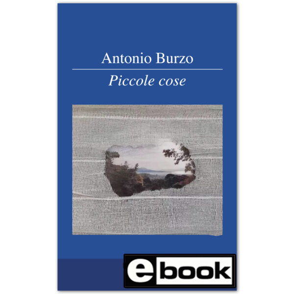 copertina del libro piccole cose
